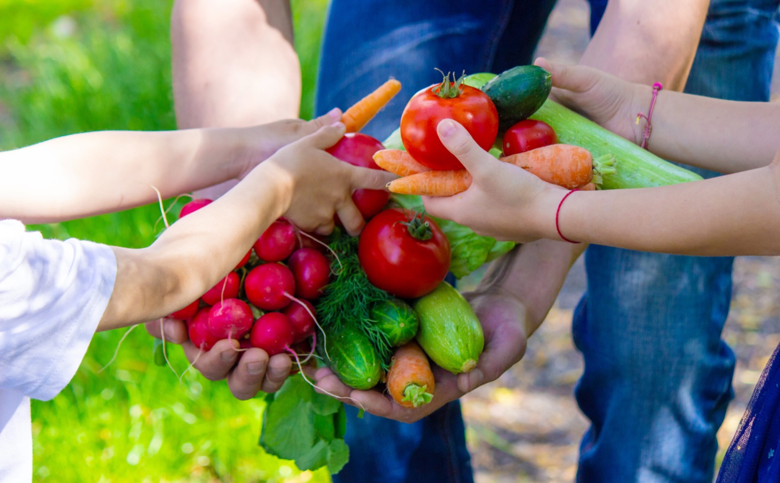 Samen in de moestuin