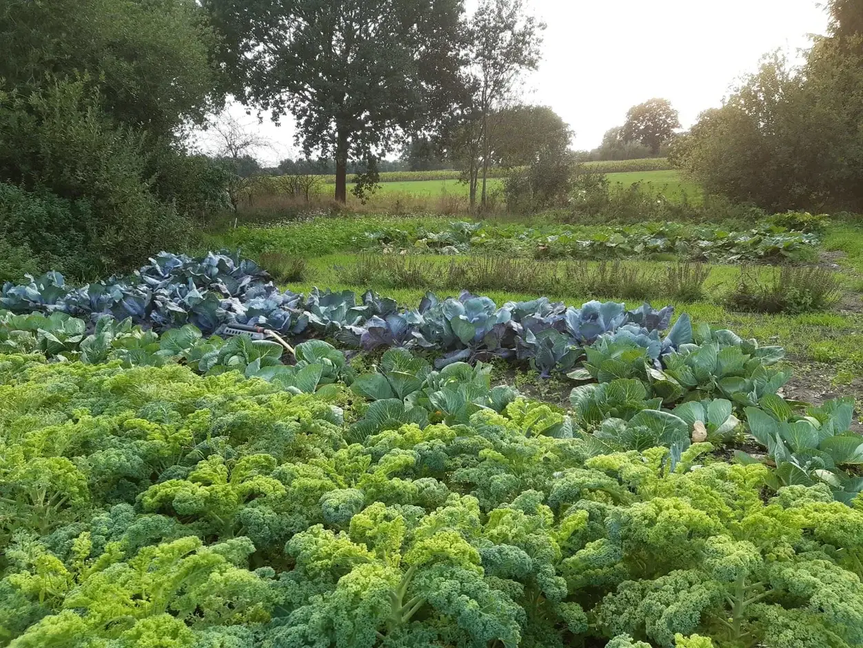 Tuinderij de Drie Berken